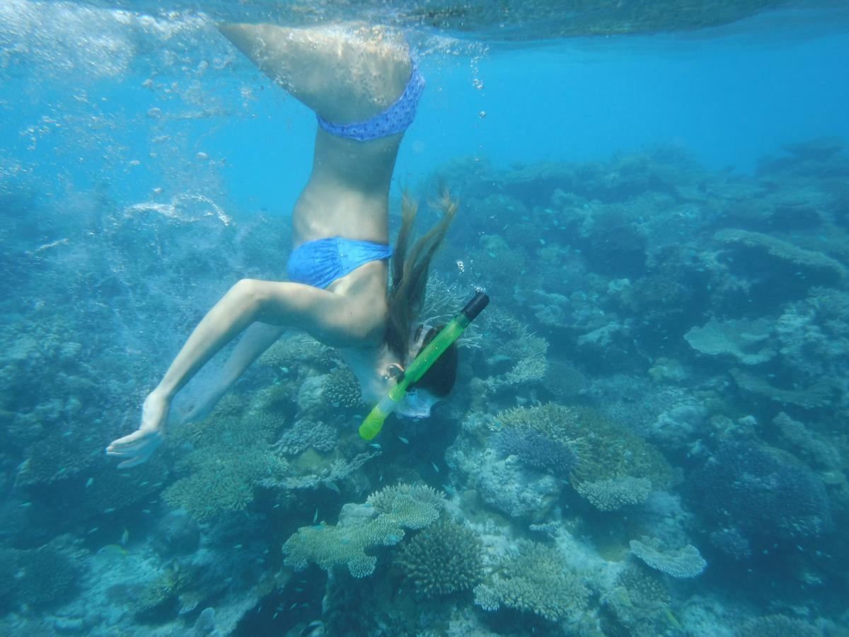 Surf Trip Maldives Hotel Thulusdhoo Exterior foto